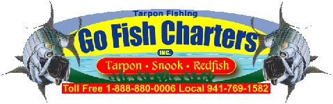 Tarpon Fishing Charters Go Fish Charters